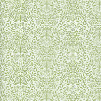 Acorns green on white