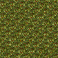 Field of Flowers