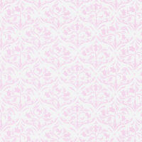 Tulips pink