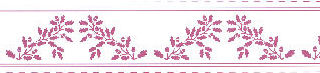 Border - purple on white