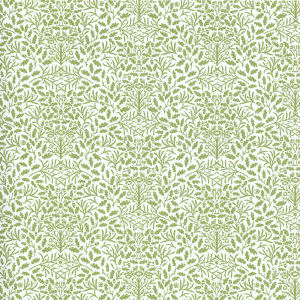 Acorns - green on white