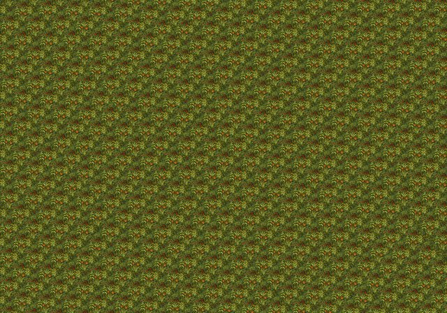 Field of Flowers