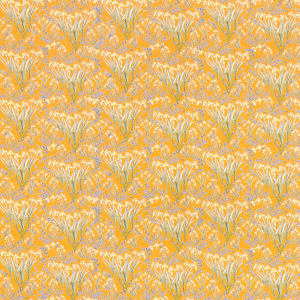 Japanese Iris
