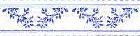 1/24 Acorns border BoC